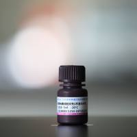 抗荧光衰减封片剂(不含DAPI) C1210  厂家直销，提供OEM定制服务，大包装更优惠 