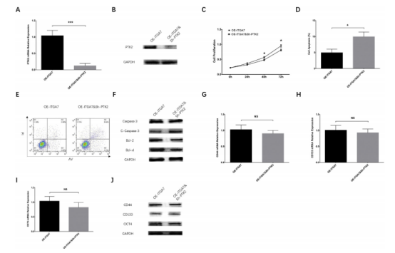 ITGα7 基因在肝细胞癌（HCC）中相关研究