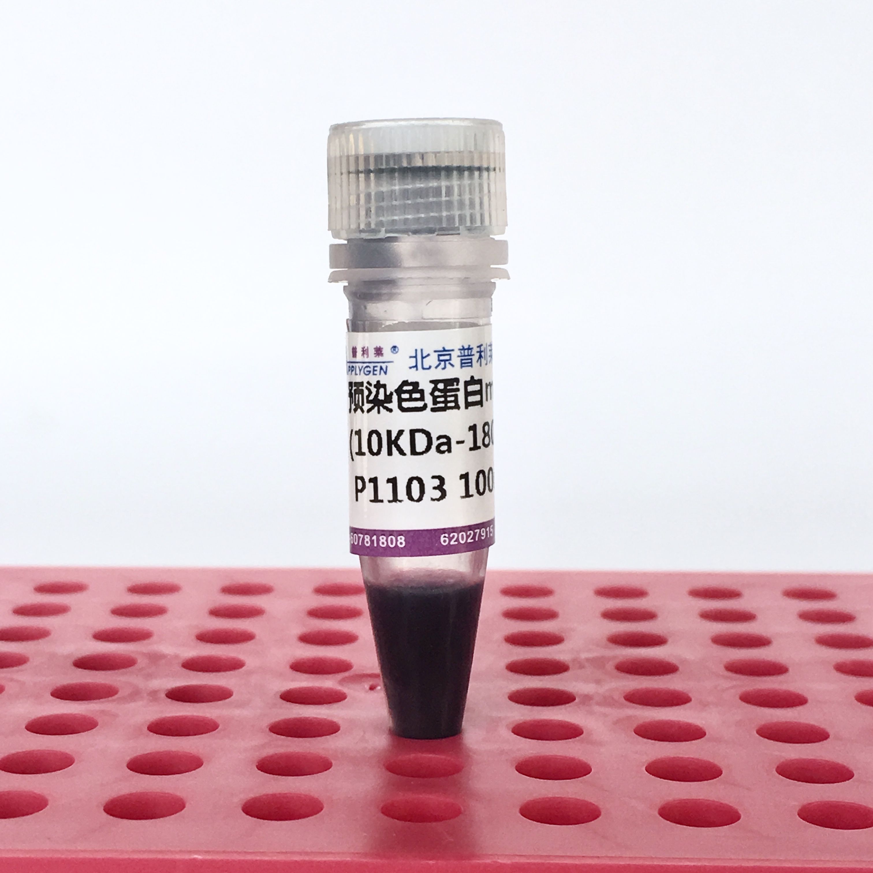 预染色蛋白marker（10KDa--180KDa） P1103  厂家直销，提供OEM定制服务，大包装更优惠 