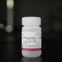 免疫染色(非荧光)二抗稀释液 C1246