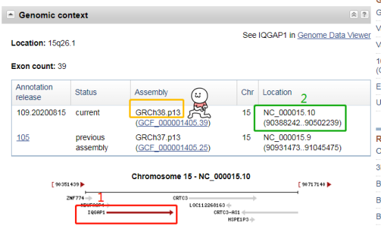 快速预测启动子和转录因子结合