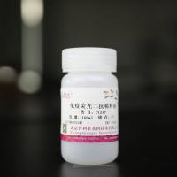 免疫荧光二抗稀释液    C1247 厂家直销，提供OEM定制服务，大包装更优惠 