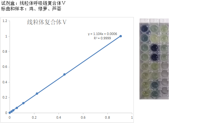 新品上市—线粒体呼吸链复合体检测试剂盒和重组蛋白