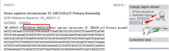 快速预测启动子和转录因子结合