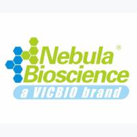 4-1BB (urelumab) 药物对照抗体