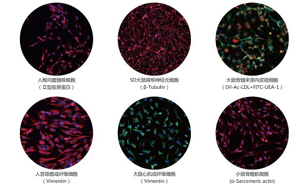 开学促销第二季