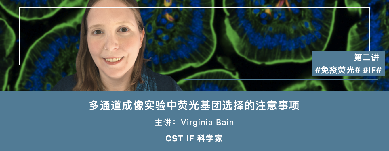 Learning Lab LIVE! 丨IF实验荧光基团如何选择？拆解为你解答