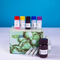 蛋白羰基检测试剂盒(比色法)