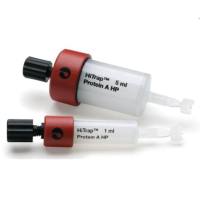 GE17040301HiTrap® Protein A High Performance, 1×5mL，Protein A预装柱，现货