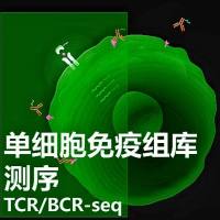 单细胞免疫组库测序服务