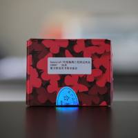 AnnexinV-FITC/PI 细胞凋亡检测试剂盒  C0007  厂家直销，提供OEM定制