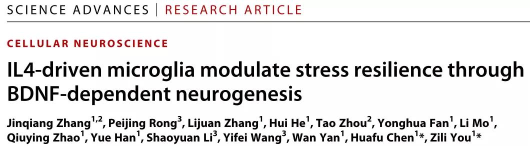 温馨提示！被你忽视的应激反应可能正在慢慢侵蚀你的健康