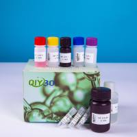 MTT细胞增殖检测试剂盒