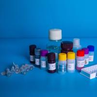 CGRP(大鼠)EIA试剂盒