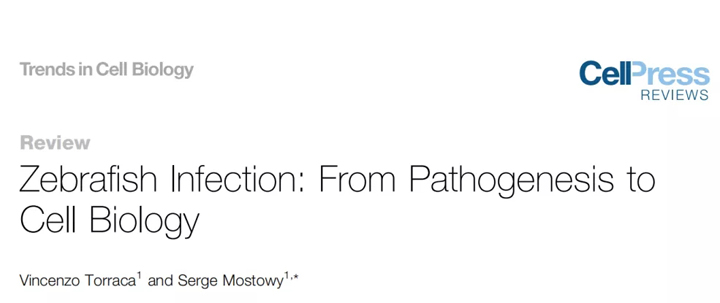 环特生物丨国际研究丨斑马鱼感染：从发病机理到细胞生物学
