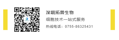 新闻图片6