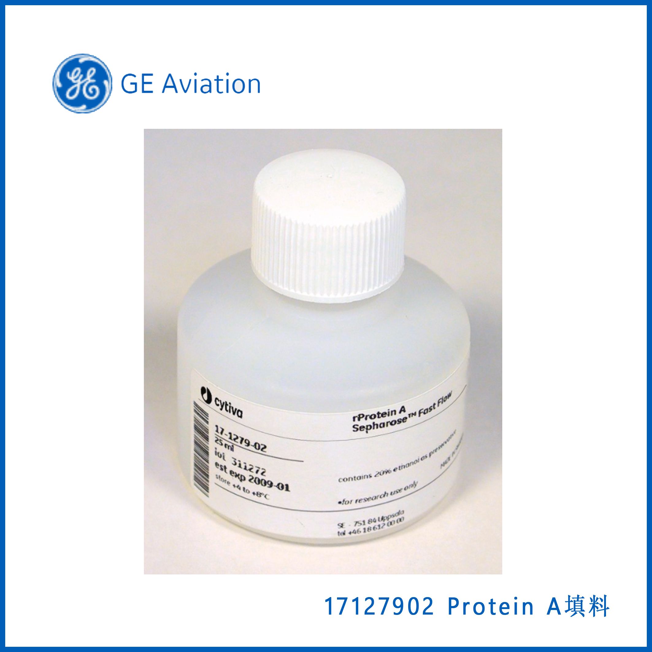 GE 17127902 RPROTEIN A SEPHAROSE FF 25 ML，Protein A填料，现货