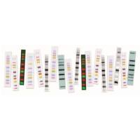 Amersham ECL Rainbow Marker -  Full range