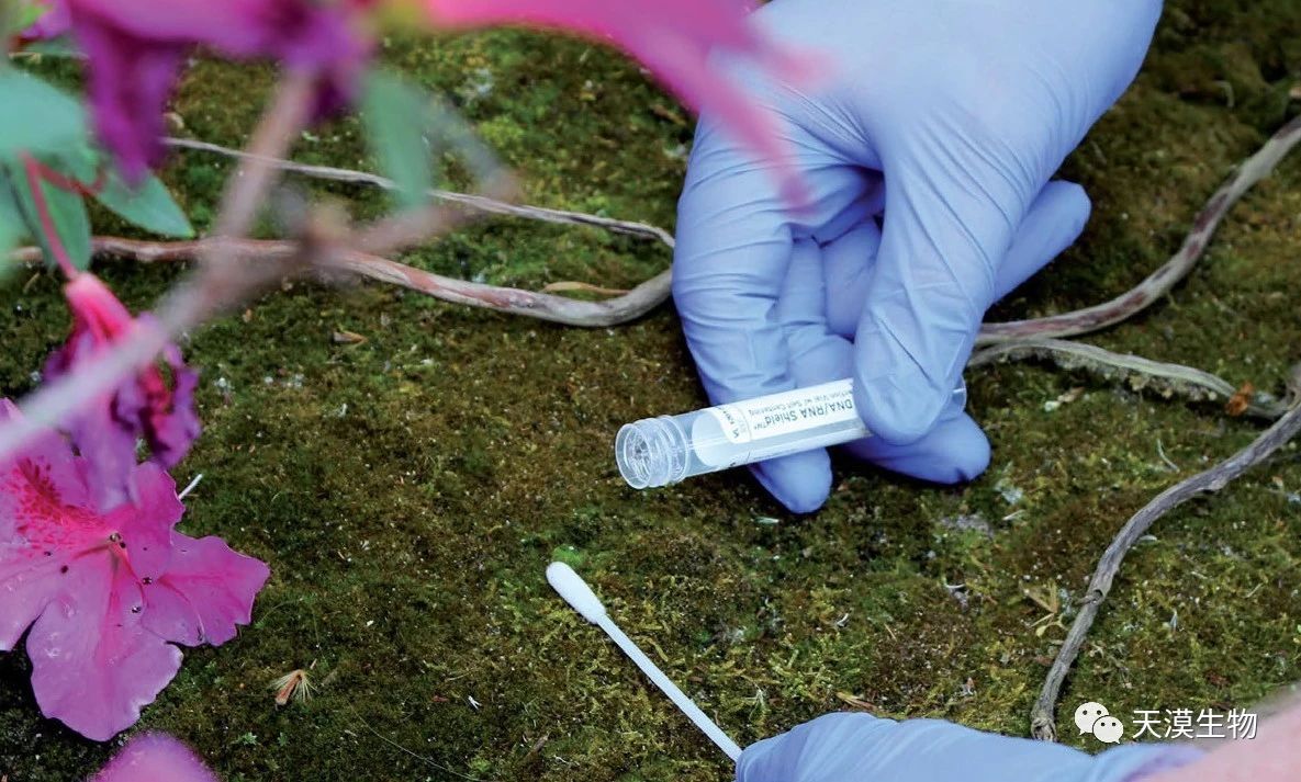 如何建立标准的微生物研究流程