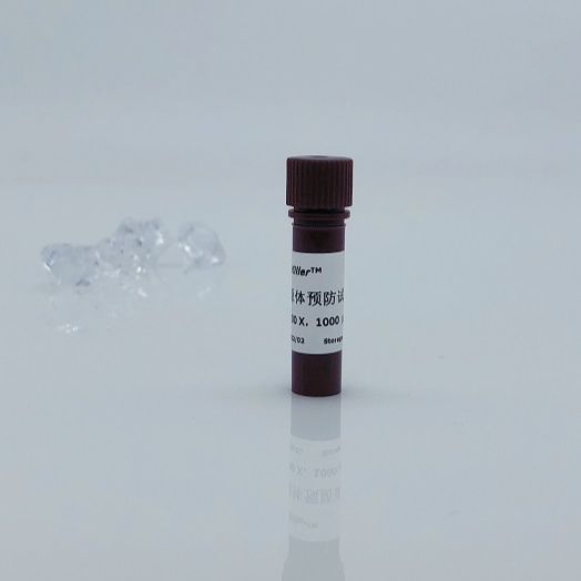 細胞培養箱水盤除菌劑（100×） 支原體清除劑 黑膠蟲清除劑  賽百慷(iCell）