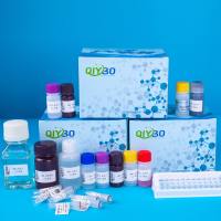 ERK/MAPK（磷酸Thr202/Tyr204）细胞磷酸化/易位检测试剂盒