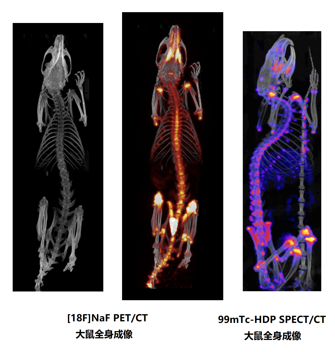 技术资料图片12