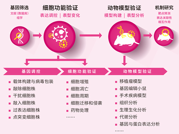 肿瘤研究一站式解决方案