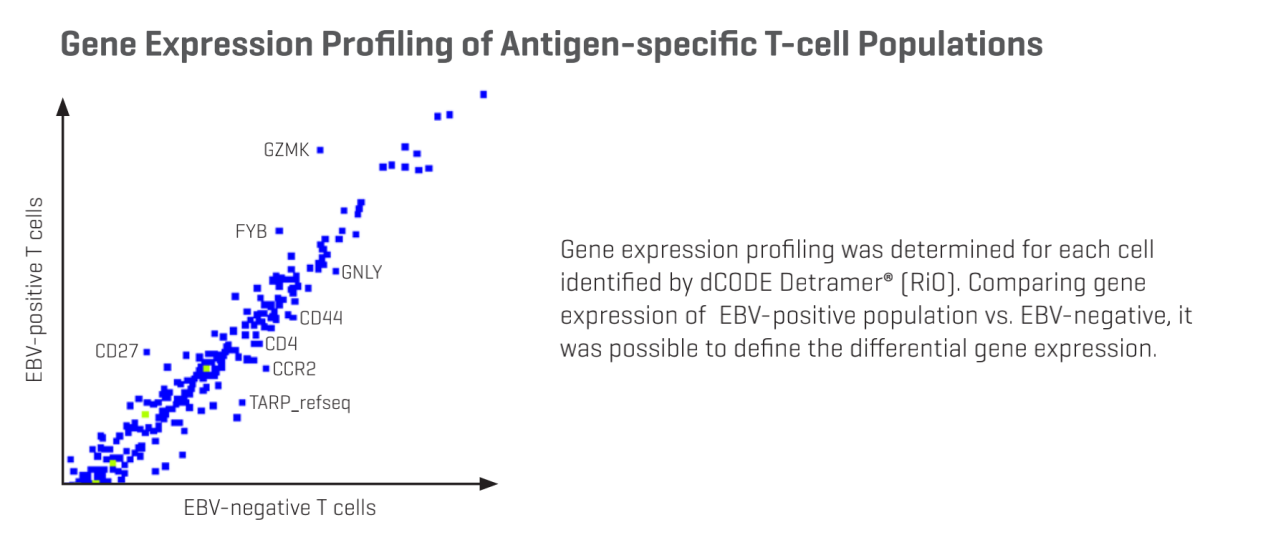 dCODE Dextramer®（RIO）