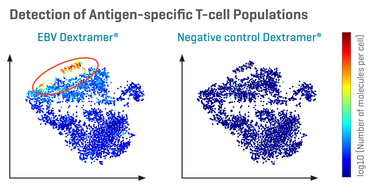 dCODE Dextramer®（RIO）