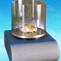 大小鼠疼痛自动分析系统、大小鼠疼痛分析系统，大小鼠疼痛实验系统、大小鼠炎症疼痛分析仪、小动物疼痛