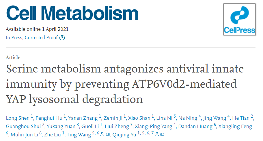 Cell metabolism：丝氨酸代谢通过阻止ATP6V0d2介导的YAP溶酶体降解抑制抗病毒天然免疫