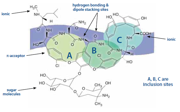 实验室里的那些事儿，大环糖肽类手性固定相（一）