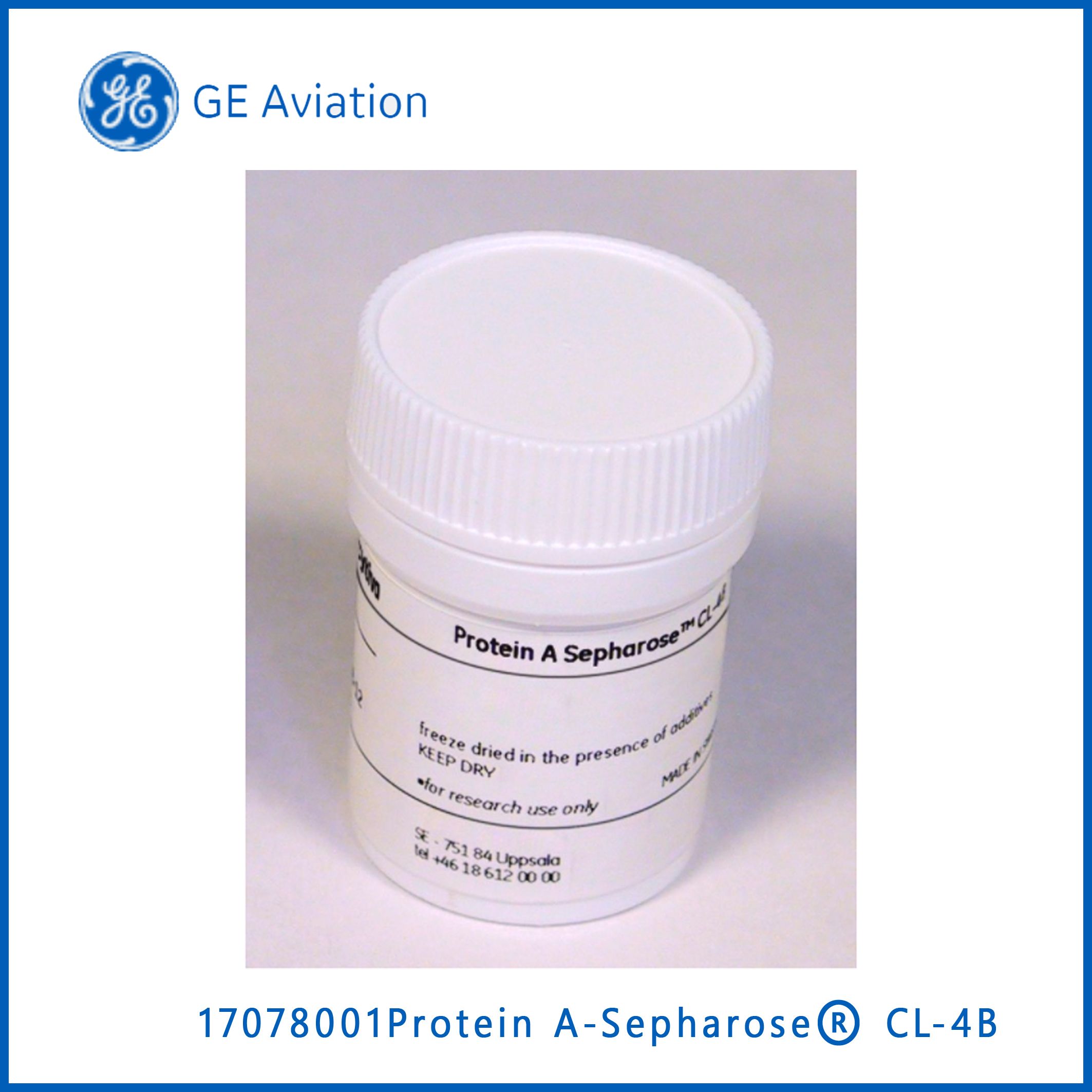 GE17078001Protein A-Sepharose® CL-4B, Protein A填料, 1.5g，现货