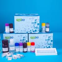 STAT- 8异前列腺素ELISA试剂盒