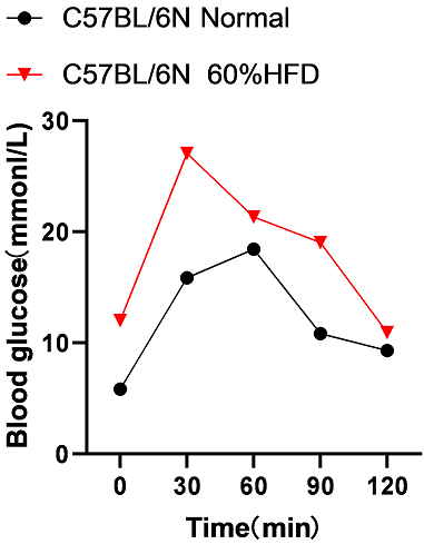 饮食诱导的非酒精性脂肪肝小鼠模型