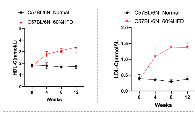 饮食诱导的非酒精性脂肪肝小鼠模型