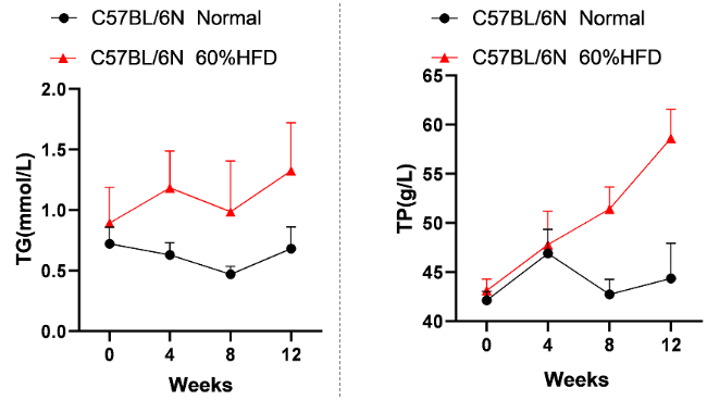 饮食诱导的非酒精性脂肪肝小鼠模型