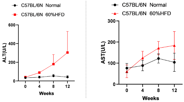 饮食诱导的非酒精性脂肪肝小鼠模型