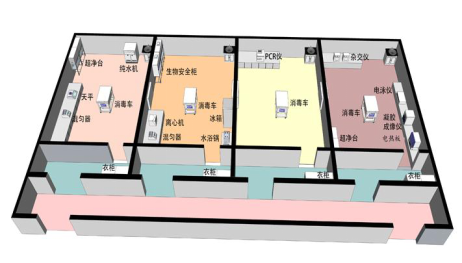 假阳性的预防及处理，每一位 PCR 实验人员都绕不开的必修课