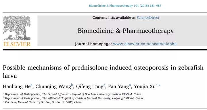 泼尼松龙诱导斑马鱼幼鱼骨质疏松的可能机制丨国际研究丨环特生物