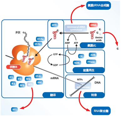 0916179346258111.jpg 1.jpg