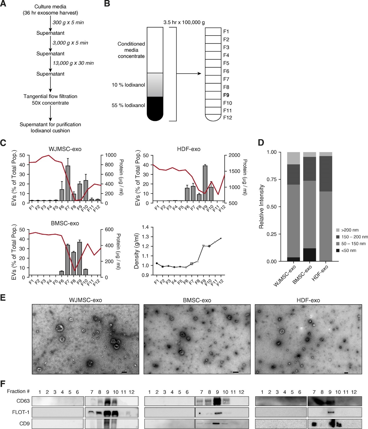 MSC来源的外泌体调节巨噬细胞免疫功能改善肺支气管发育不良恢复肺功能