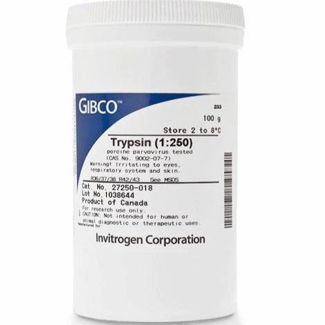 Trypsin (1:250), powder 胰酶