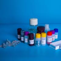 8- Isoprostane ELISA试剂盒