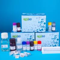 6-keto PGF1α检测ELISA试剂盒