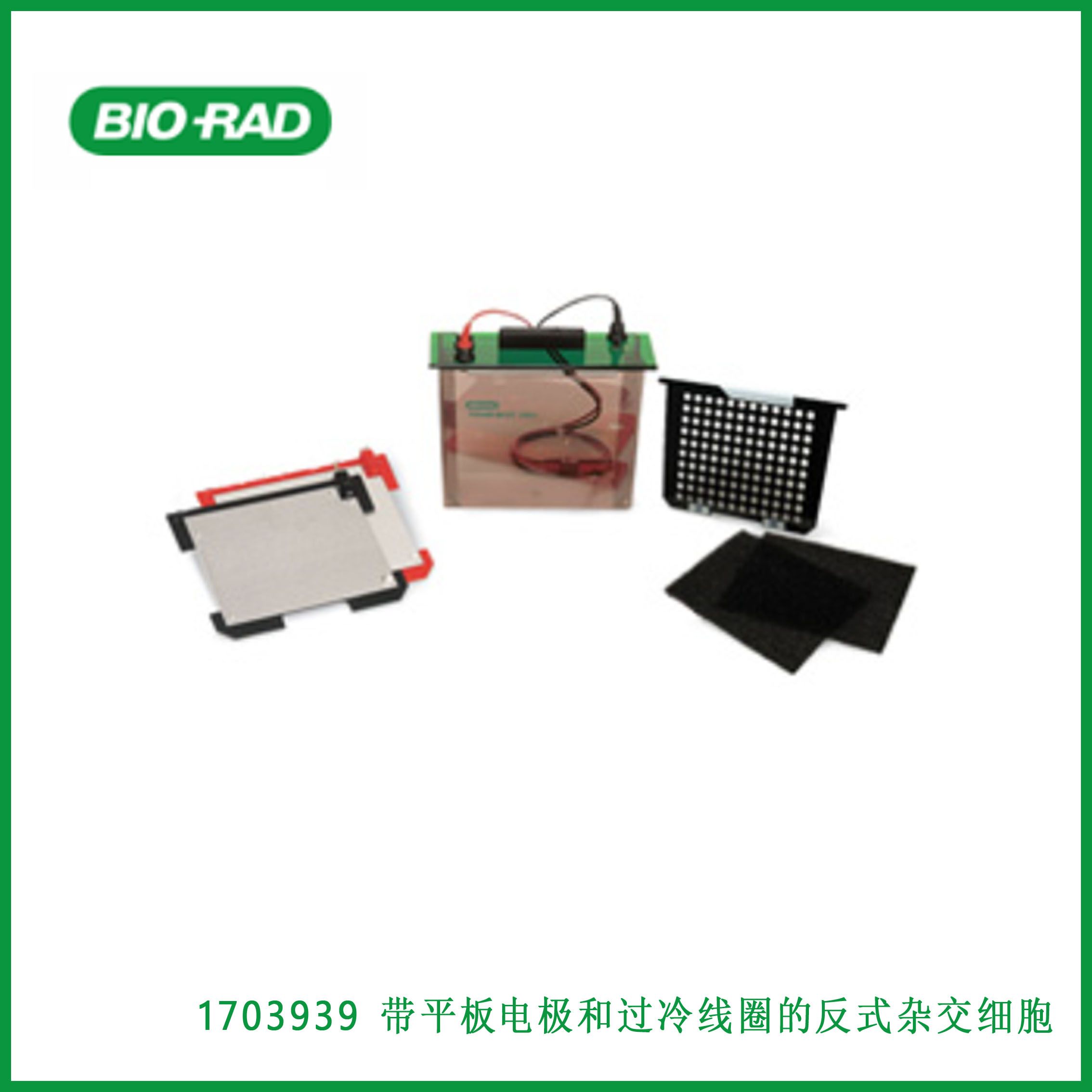 伯乐Bio-Rad1703939 Trans-Blot Cell With Plate Electrodes and Super Cooling Coil，带平板电极和过冷线圈的反式杂交细胞，现货
