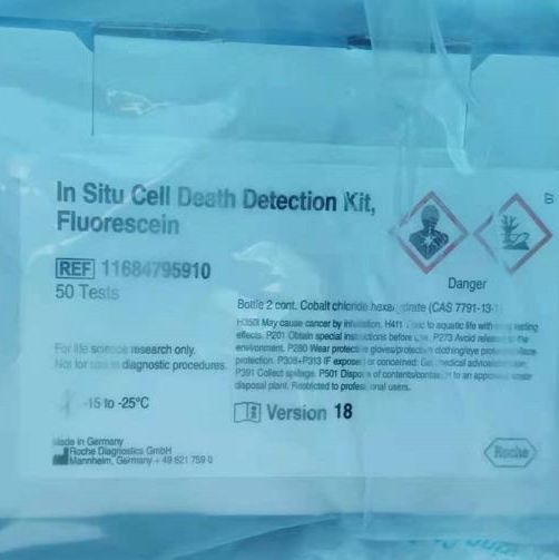 原位细胞死亡检测试剂盒，荧光素法