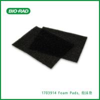 伯乐Bio-Rad1703914 Foam Pads, 泡沫垫,现货