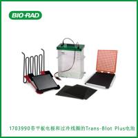伯乐Bio-Rad1703990 Trans-Blot Plus Cell With Plate Electrodes and Super Cooling Coil，带平板电极和过冷线圈的Trans-Blot Plus电池，现货