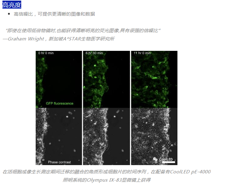 产品细节图片11